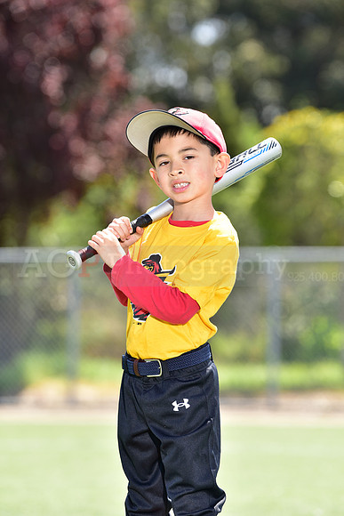 T-Ball_Redwings0027