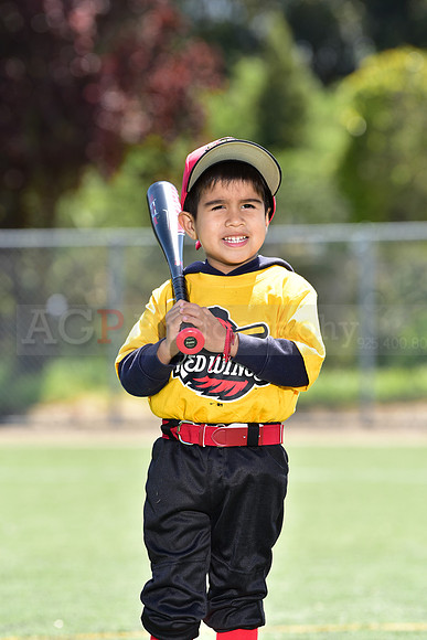 T-Ball_Redwings0064