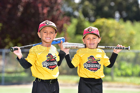 T-Ball_Redwings0075