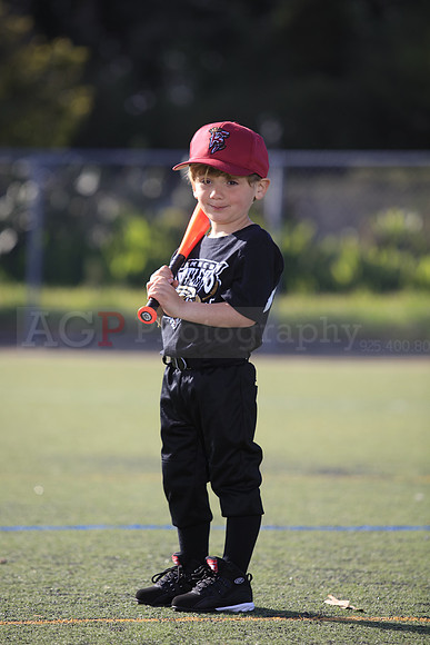 T-Ball_Rattlers0006