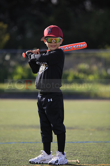 T-Ball_Rattlers0019
