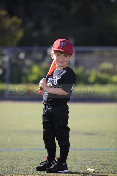 T-Ball_Rattlers0007