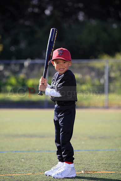 T-Ball_Rattlers0047