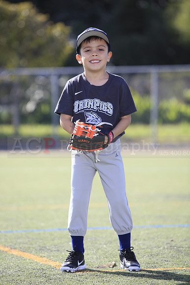 T-Ball_IronPigs0002