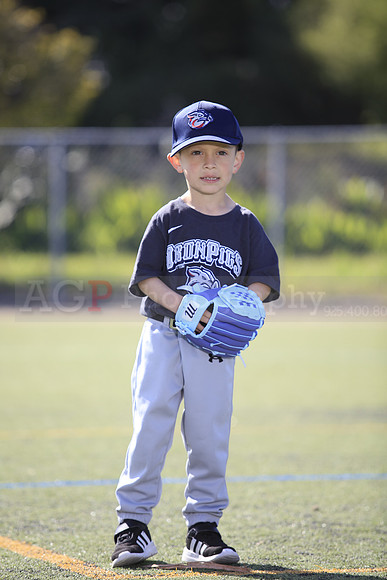 T-Ball_IronPigs0019