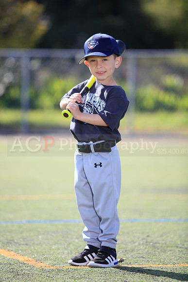 T-Ball_IronPigs0024