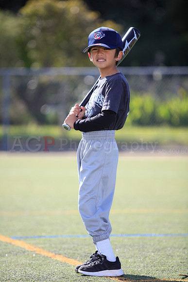 T-Ball_IronPigs0028