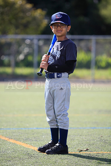 T-Ball_IronPigs0036