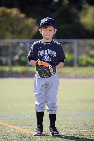 T-Ball_IronPigs0044