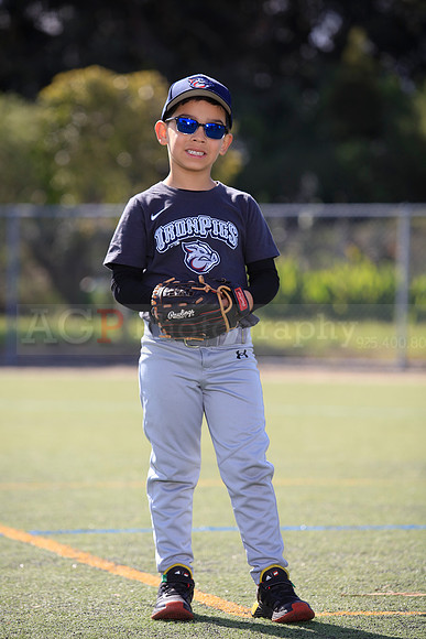 T-Ball_IronPigs0052