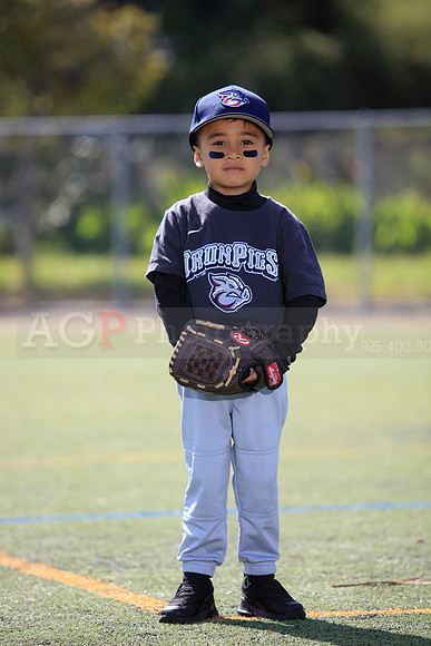 T-Ball_IronPigs0064