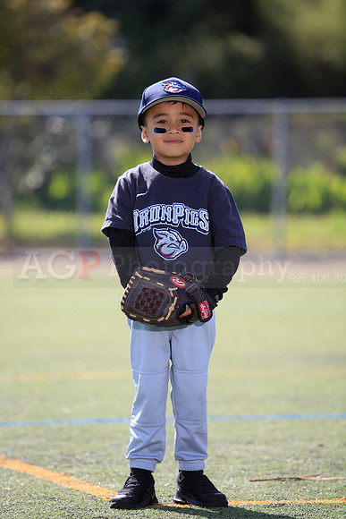 T-Ball_IronPigs0065