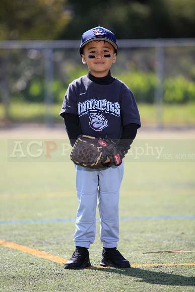 T-Ball_IronPigs0066