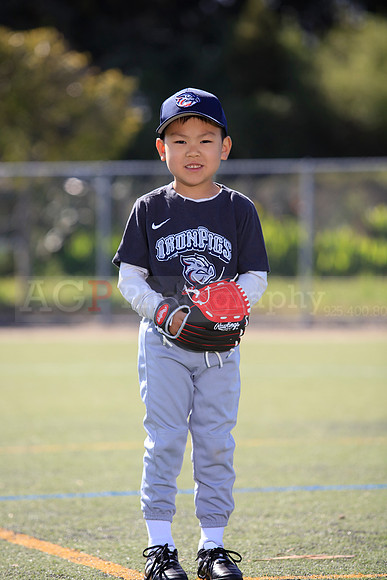 T-Ball_IronPigs0060