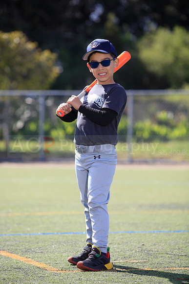 T-Ball_IronPigs0057