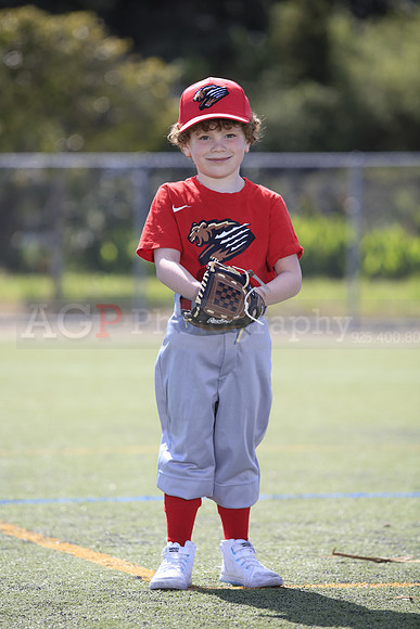 T-Ball_Grizzlies0007