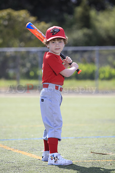 T-Ball_Grizzlies0009