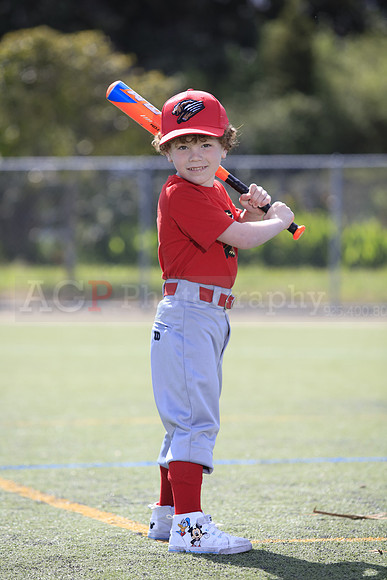 T-Ball_Grizzlies0010