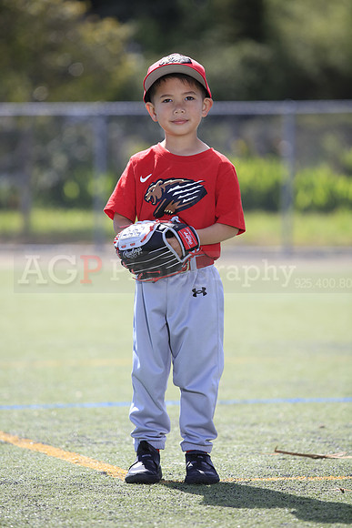 T-Ball_Grizzlies0012
