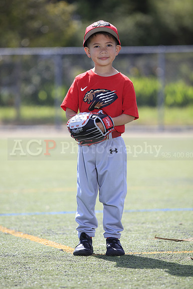 T-Ball_Grizzlies0013
