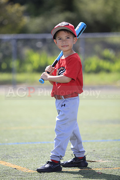 T-Ball_Grizzlies0015
