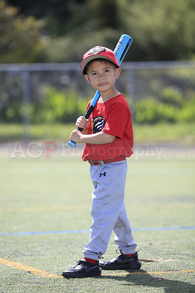 T-Ball_Grizzlies0017
