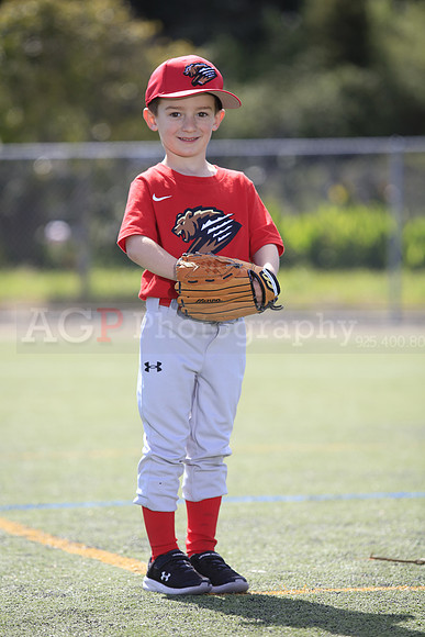 T-Ball_Grizzlies0020