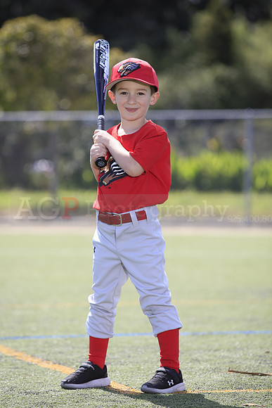 T-Ball_Grizzlies0021