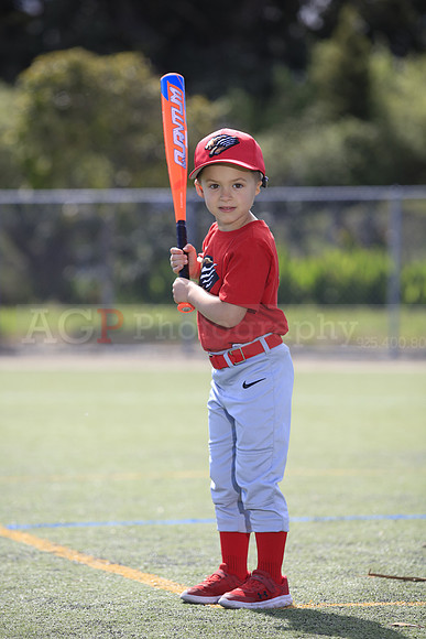 T-Ball_Grizzlies0028