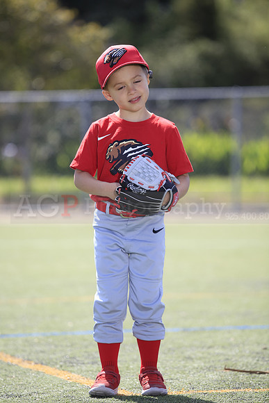 T-Ball_Grizzlies0026