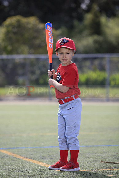 T-Ball_Grizzlies0029
