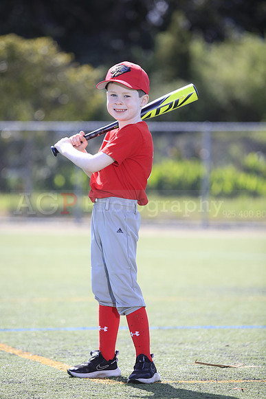 T-Ball_Grizzlies0005