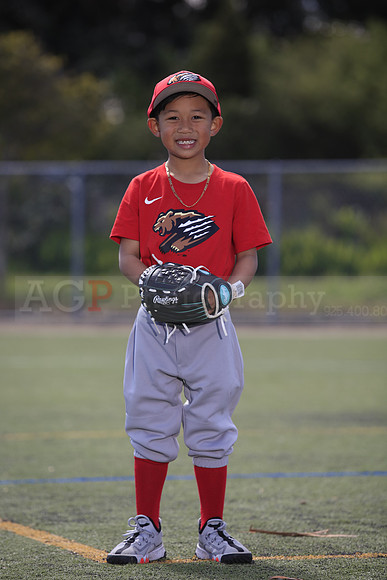 T-Ball_Grizzlies0032