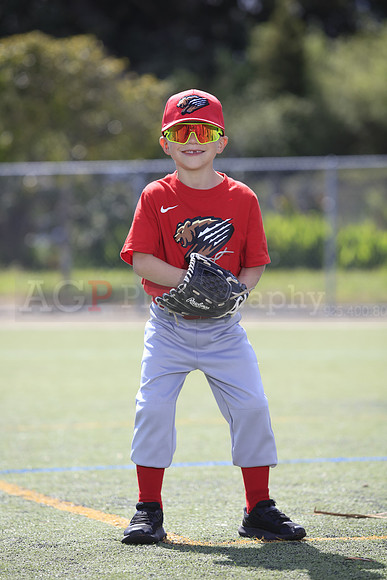 T-Ball_Grizzlies0036