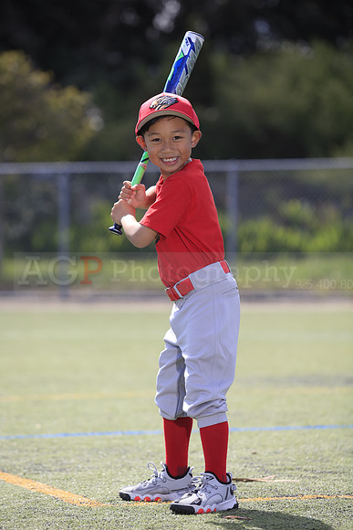 T-Ball_Grizzlies0033