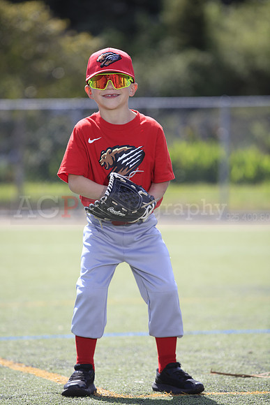 T-Ball_Grizzlies0038