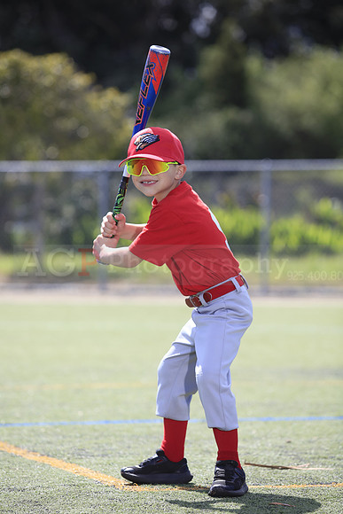 T-Ball_Grizzlies0039