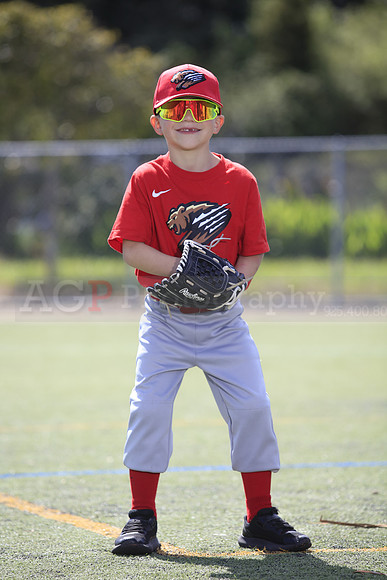 T-Ball_Grizzlies0037