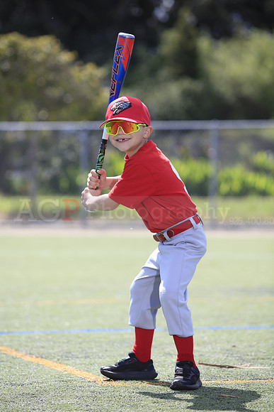 T-Ball_Grizzlies0040