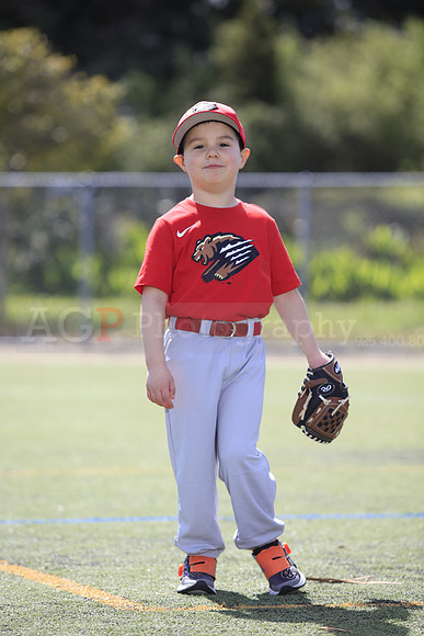 T-Ball_Grizzlies0042