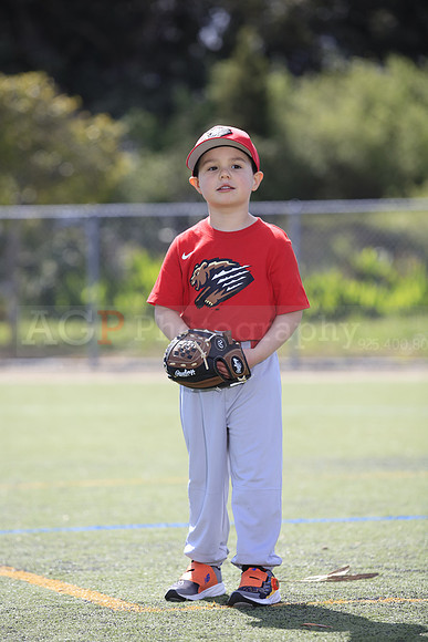 T-Ball_Grizzlies0043