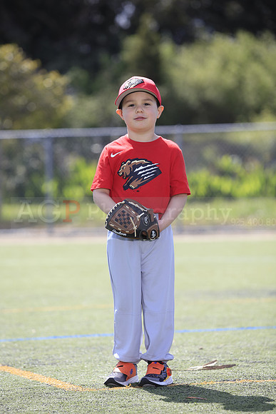 T-Ball_Grizzlies0046