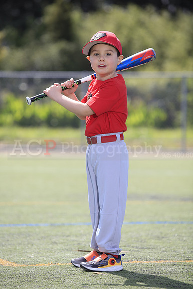 T-Ball_Grizzlies0047