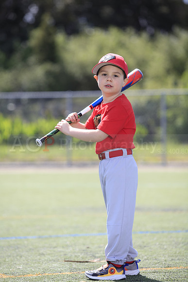 T-Ball_Grizzlies0048
