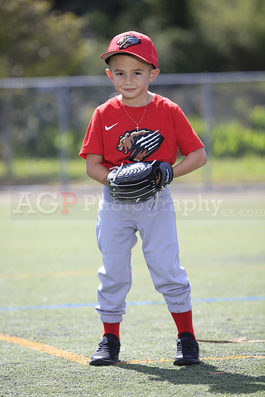 T-Ball_Grizzlies0052
