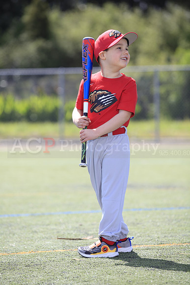 T-Ball_Grizzlies0051