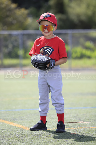 T-Ball_Grizzlies0057