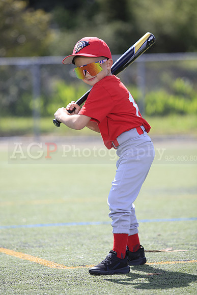 T-Ball_Grizzlies0058