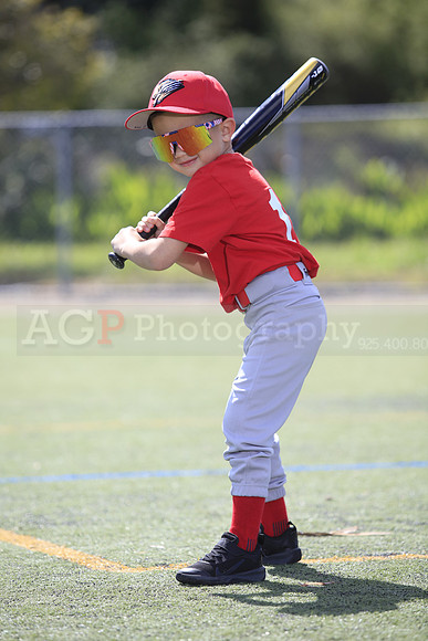 T-Ball_Grizzlies0059
