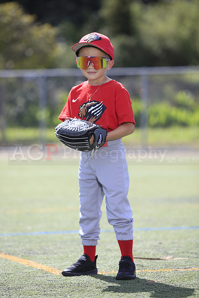 T-Ball_Grizzlies0056